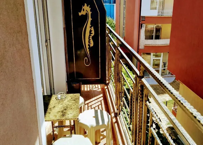 Dracena 招待所 3*