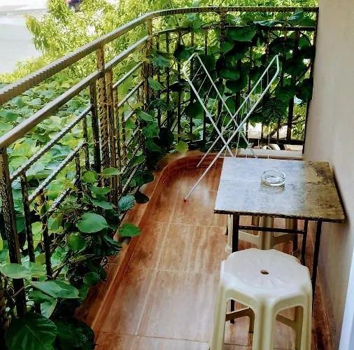 Dracena 招待所 拉夫达