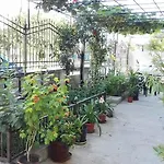 בית הארחה Dracena