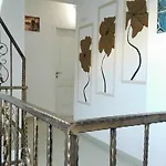 Dracena רבדה