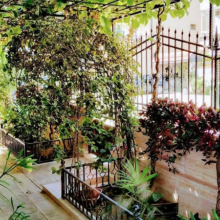 Pensión Dracena *