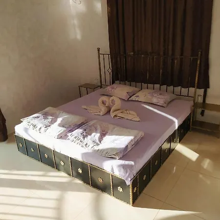 ゲストハウス Dracena 3*