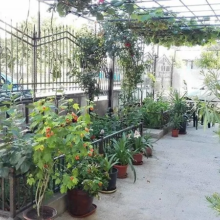 Pensión Dracena